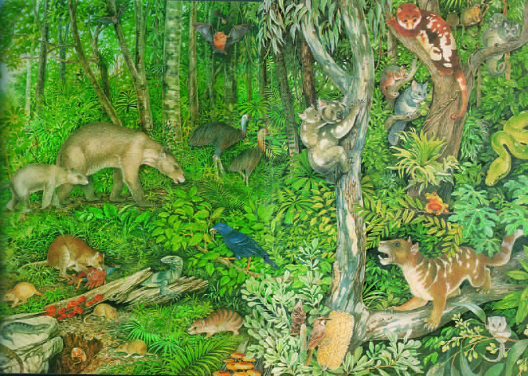 The animals and plants of the Oligocene rainforest at Riversleigh (as envisioned by an artist)