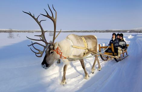 A reindeer sleigh in Lapland (image from the Finnish Tourism Bureau)