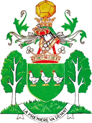 The Great mathematician Pierre Deligne was ennobled to viscount by the Belgian throne in 2006 and he chose this coat of arms