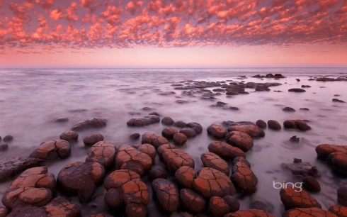 Stromatolites at dawn in Shark Bay, Western Australia
