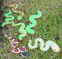 Snake Cookies 066
