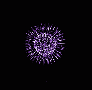 fireworks-animation-33-2